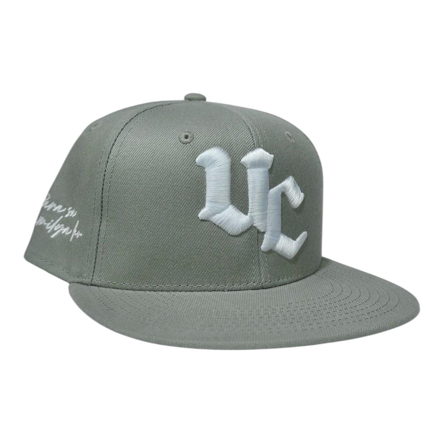 Grey Pamilya Fitted Hat